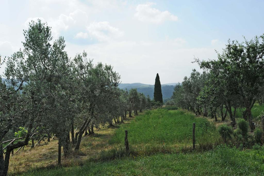 Borgo Rapale Villa Luaran gambar